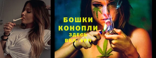 ECSTASY Бородино