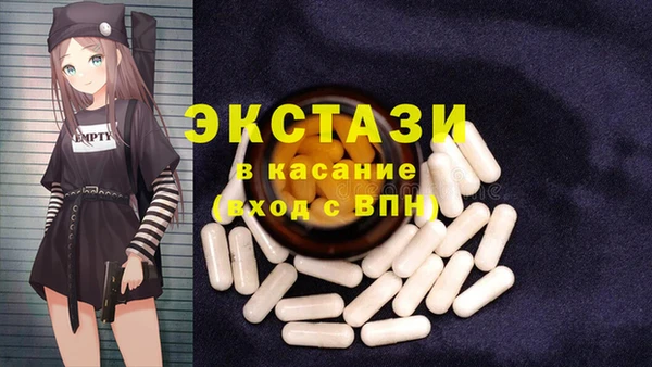 ECSTASY Бородино