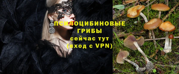 apvp Бронницы