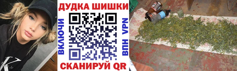 продажа наркотиков  Новохопёрск  ссылка на мегу онион  Шишки марихуана SATIVA & INDICA 